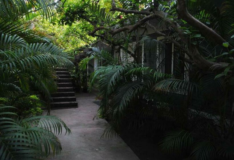 ホテル Alaya Stays Oel Nature Retreat