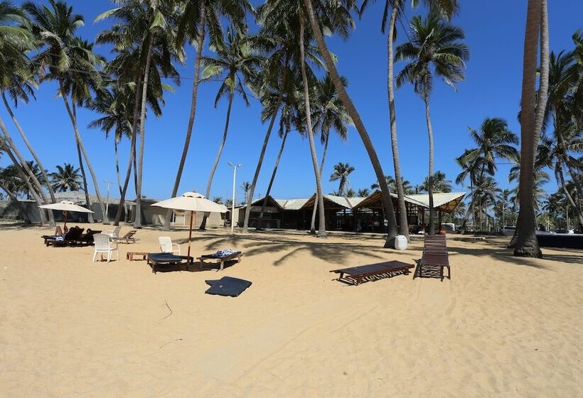 בית מלון כפרי Carolina Beach Resort & Spa