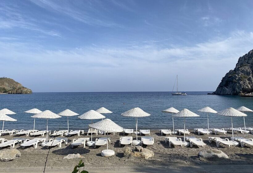 فندق Dada Bungalows