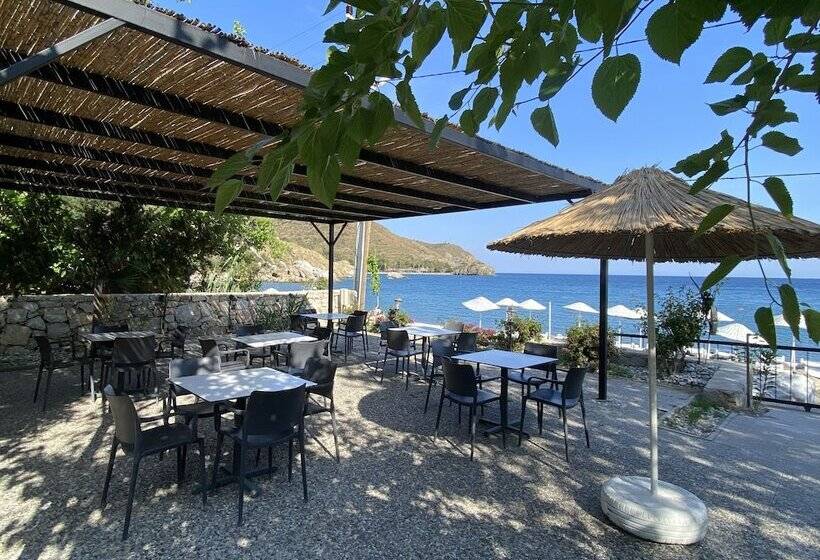 فندق Dada Bungalows