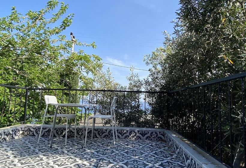 فندق Dada Bungalows