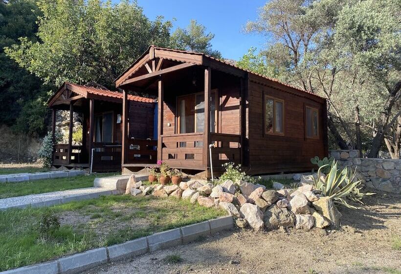 فندق Dada Bungalows