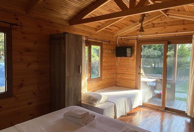 فندق Dada Bungalows