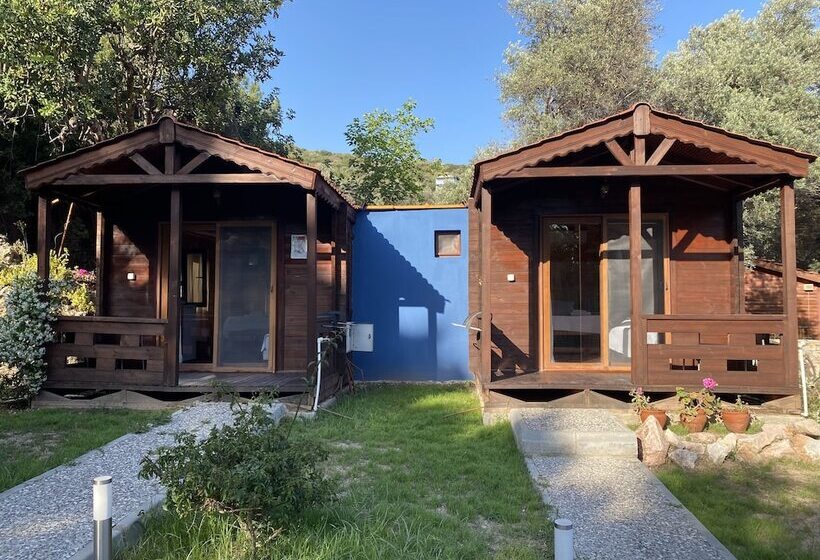 فندق Dada Bungalows