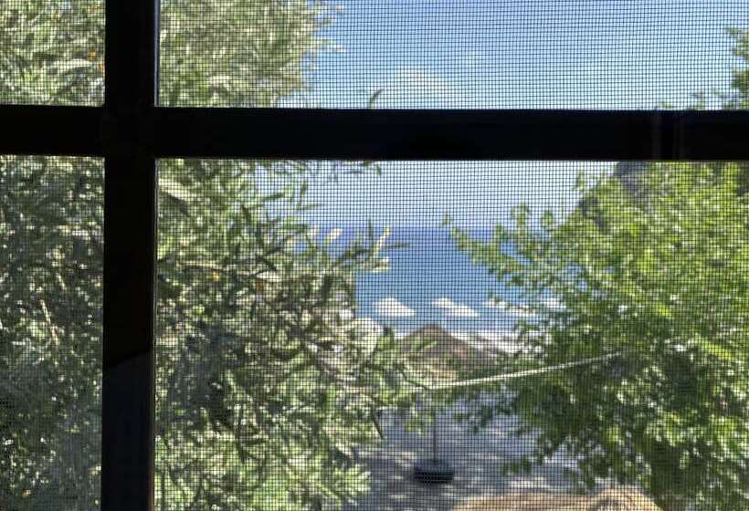 فندق Dada Bungalows