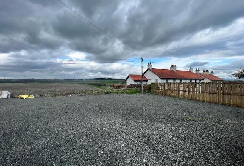 ホテル Earl David