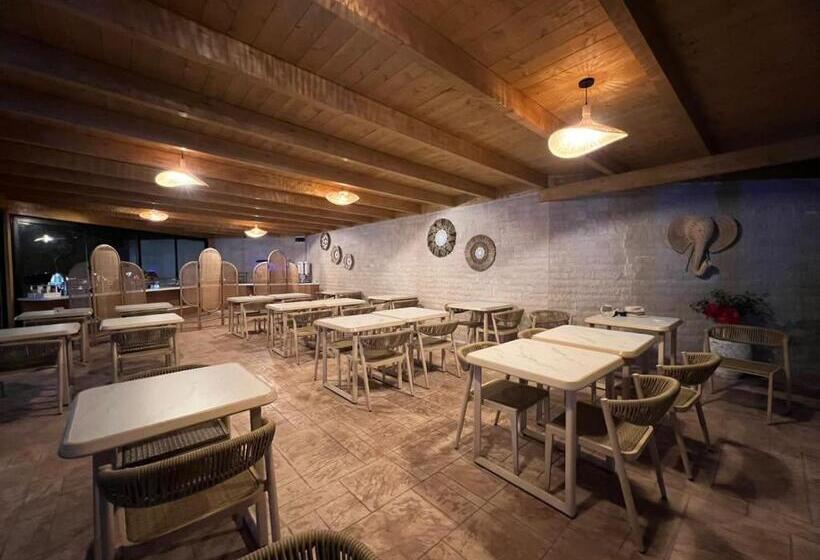 هتل Patio Mare