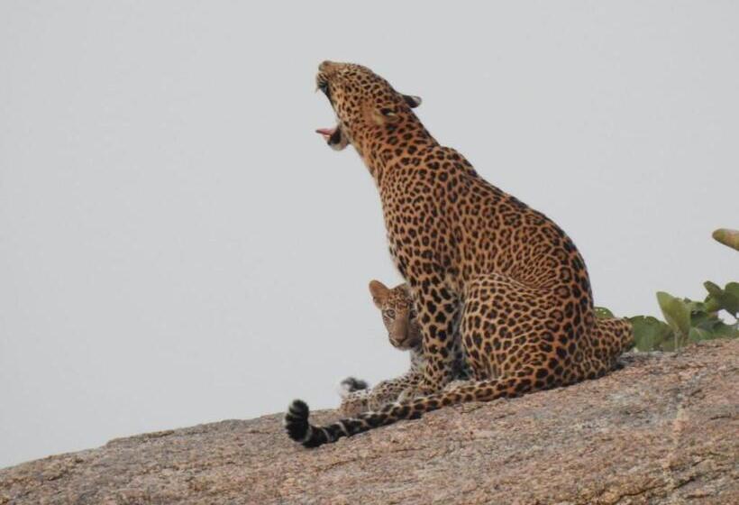 Jawai Empire Resort By Premier Hotels