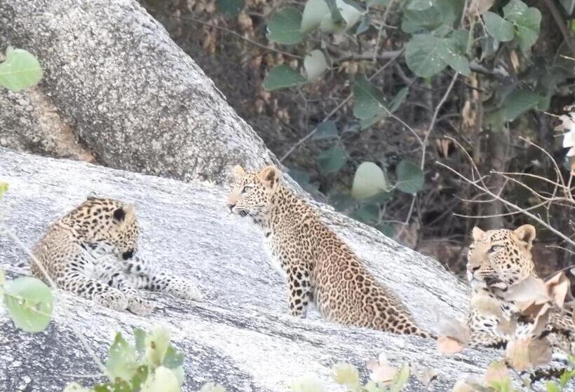 Jawai Empire Resort By Premier Hotels