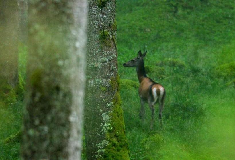 펜션 Agribed Quierta Camerette