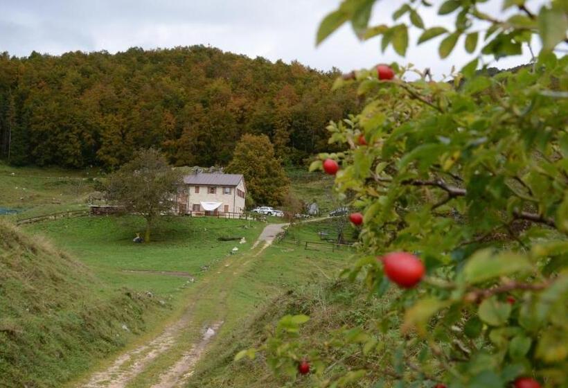 펜션 Agribed Quierta Camerette