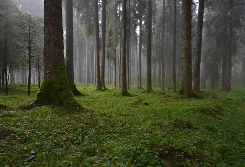 펜션 Agribed Quierta Camerette