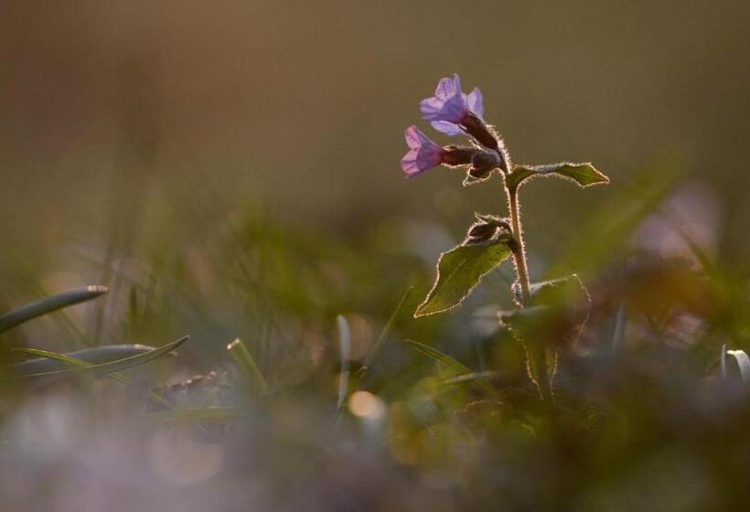 펜션 Agribed Quierta Camerette