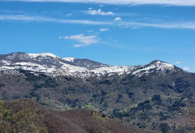 بنسيون Casa Ramaceto