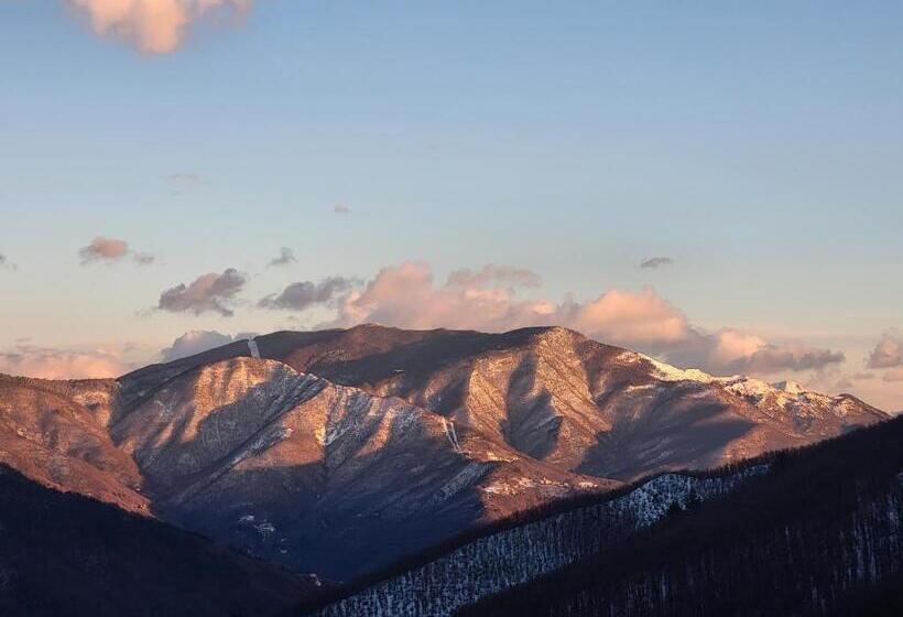 بنسيون Casa Ramaceto