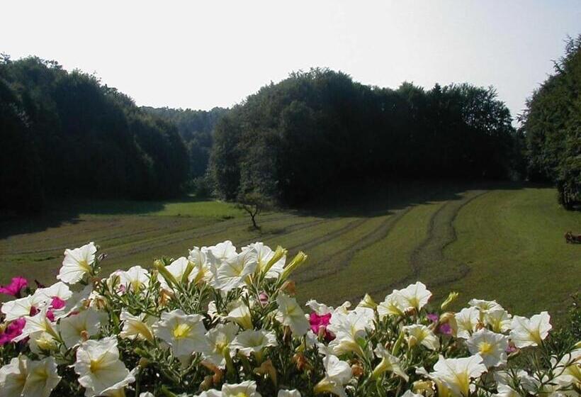 펜션 Gästehaus Brütting