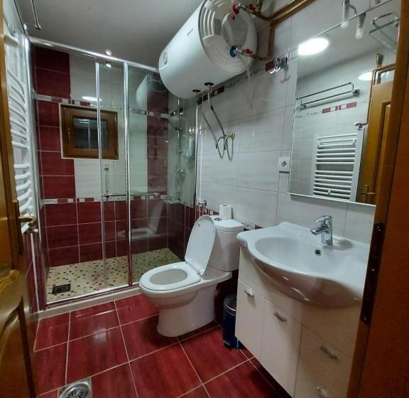 Пансион Guest House Trojani