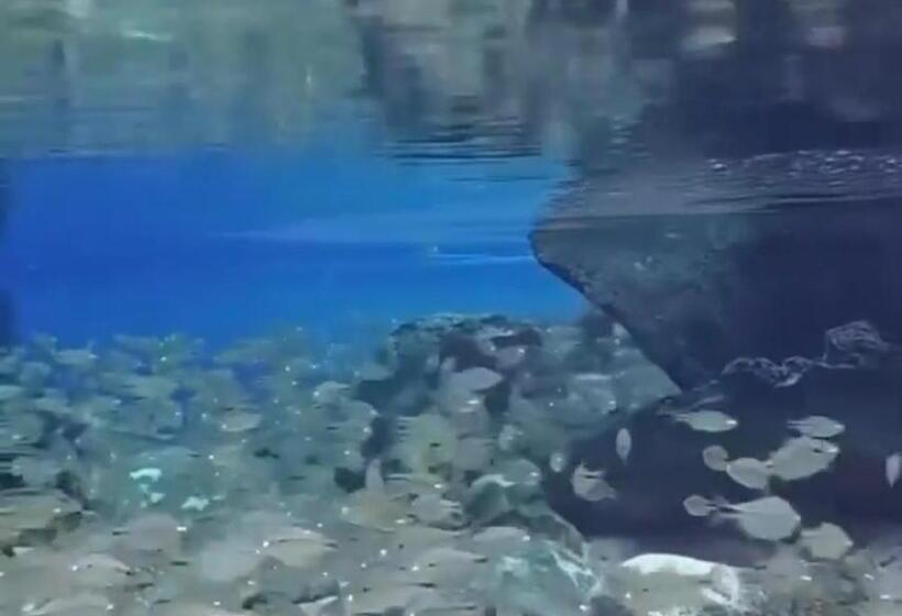 بنسيون Pousada Villa Rica