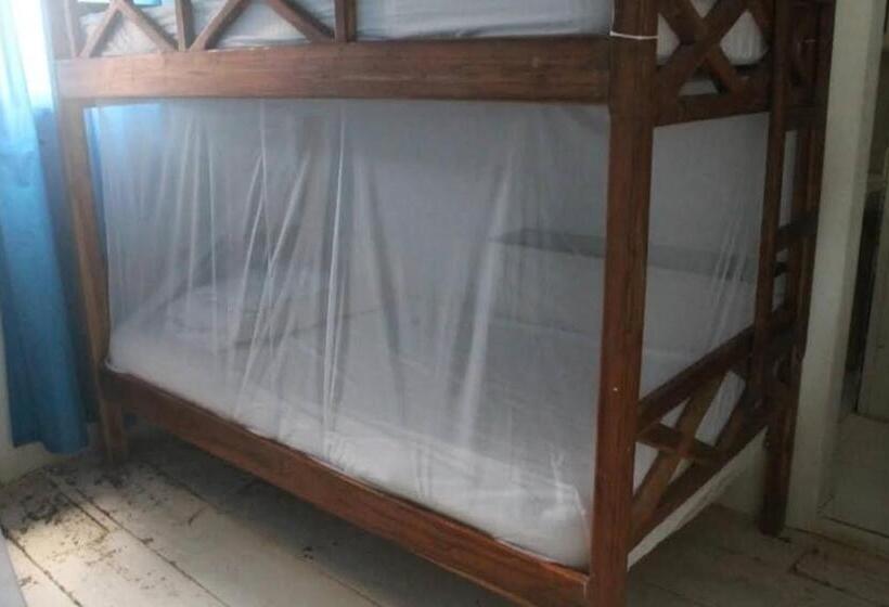 Taida Experiences Hostel