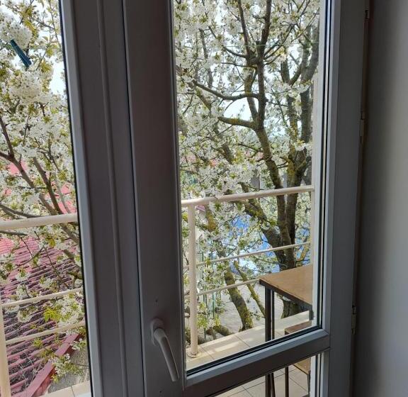 هاستل викенд