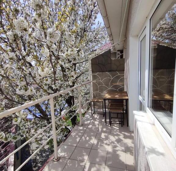 هاستل викенд