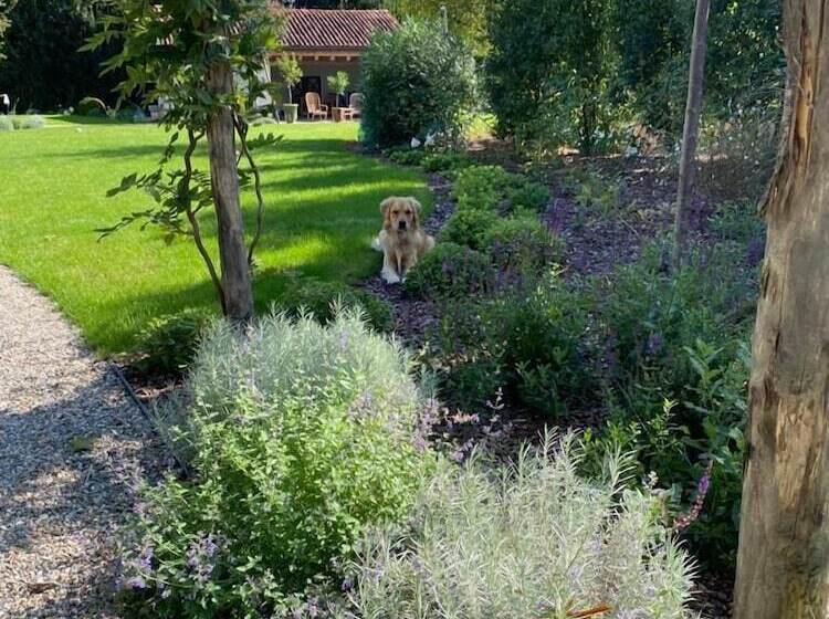 צימר Il Glicine   Natural Bnb