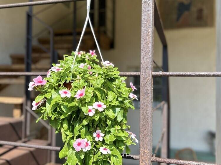 צימר Il Glicine   Natural Bnb