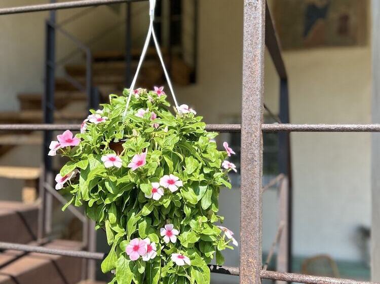 צימר Il Glicine   Natural Bnb