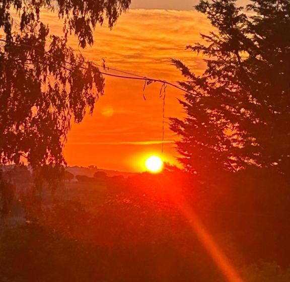 ベッドアンドブレックファースト Il Trullo Di Simona