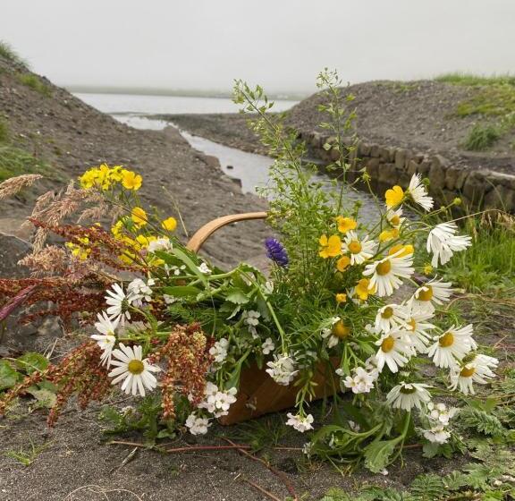 فندق Heima í Stovu