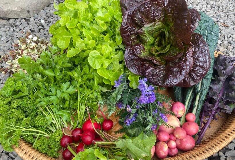 فندق Heima í Stovu