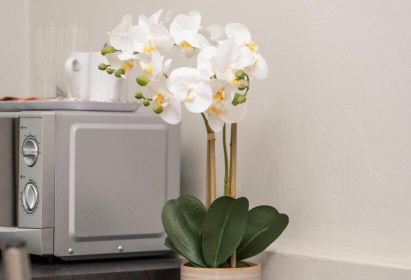 פנסיון Barkly Street Guesthouse