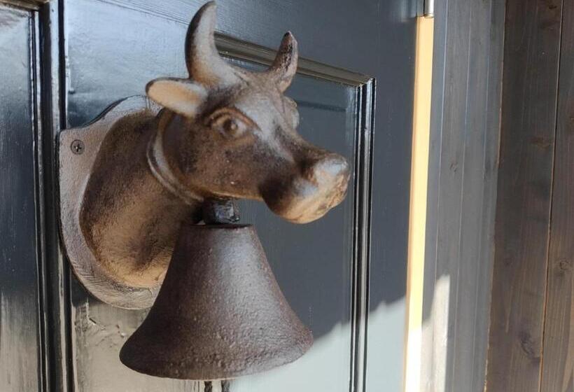 بنسيون Guesthouse Mow Mow   Vacation Stay 87600v