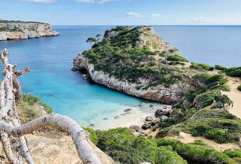 펜션 Hostal Cala Llombards