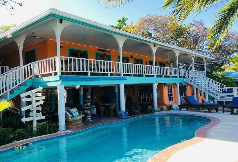 فندق صغير Coral Cove Inn