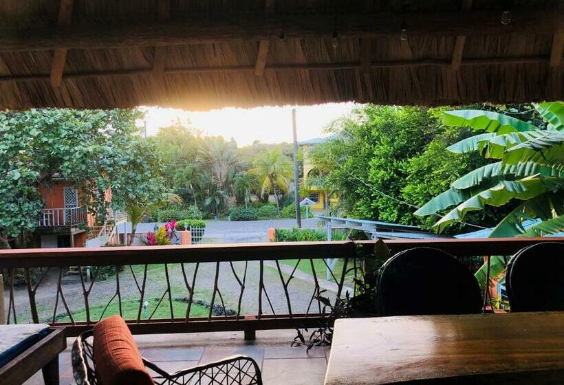 הוסטל Coral Cove Inn