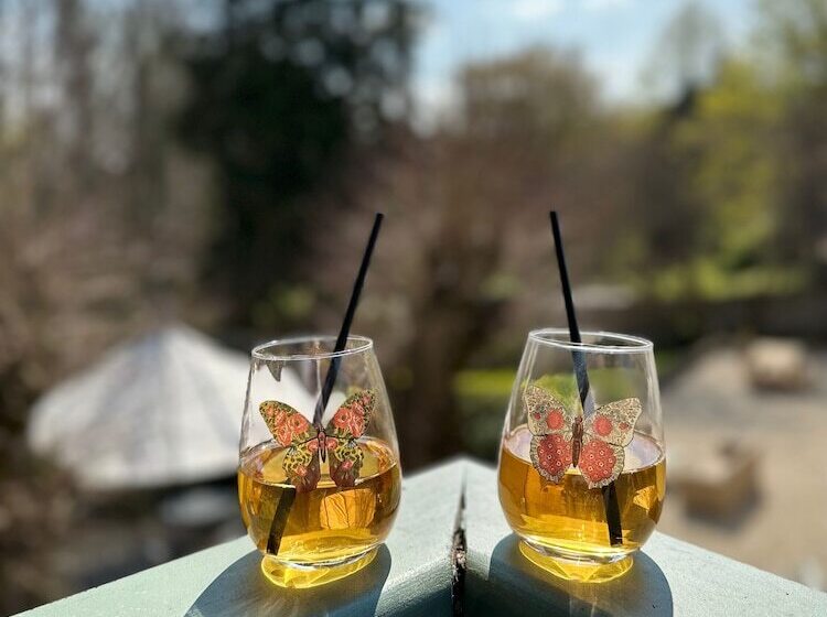 住宿加早餐 La Demeure