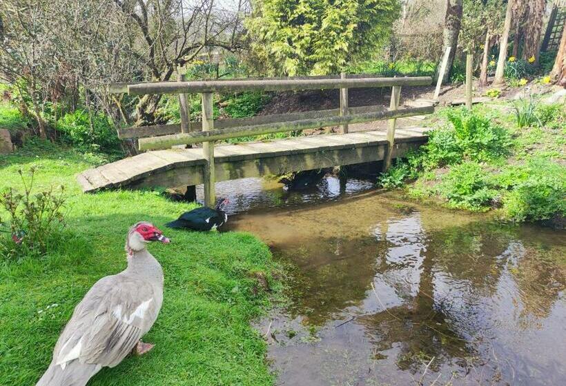 Bed and Breakfast Pleasant Streams Barn