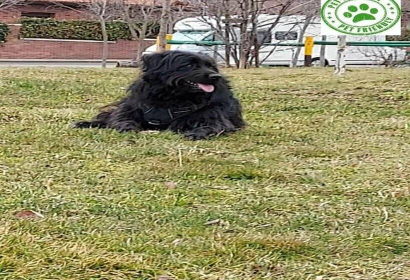 בית מלון כפרי Acebo Plaza Mayor