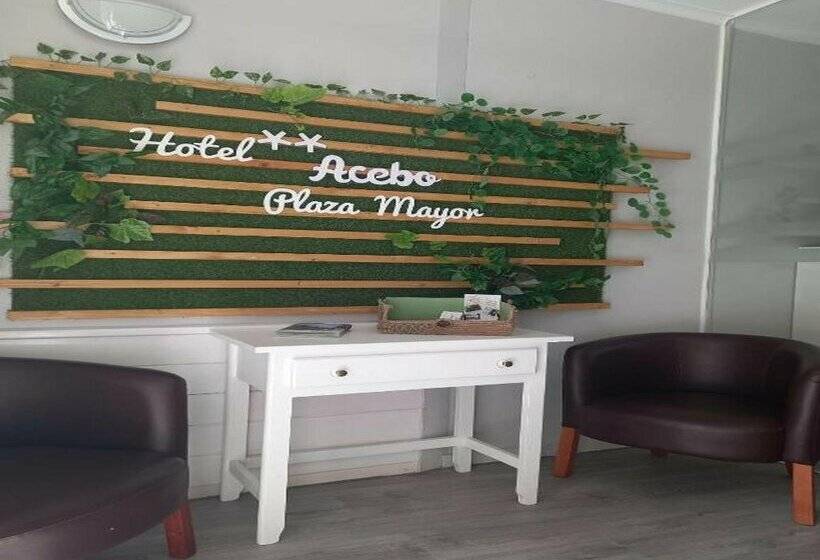 בית מלון כפרי Acebo Plaza Mayor