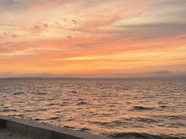 酒店 Atoq Paracas Reserva