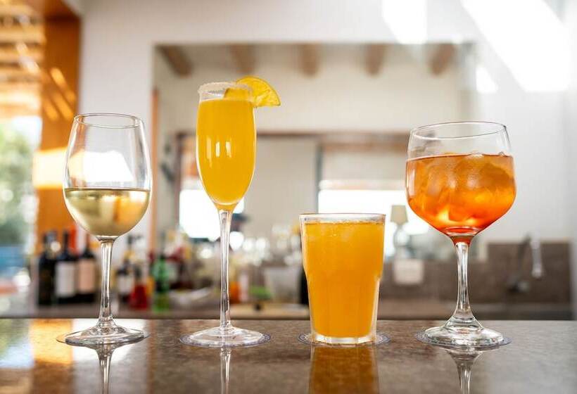 酒店 Atoq Paracas Reserva