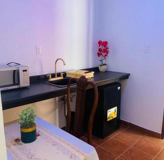 酒店 Boutique Casona Mashei