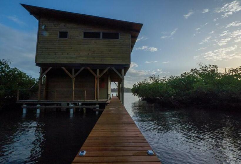 فندق Roam Yoga & Wellness Lodge