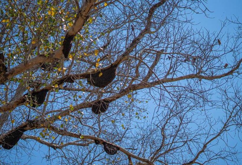 בית מלון כפרי The Riverwood Forest Retreat  Kanha