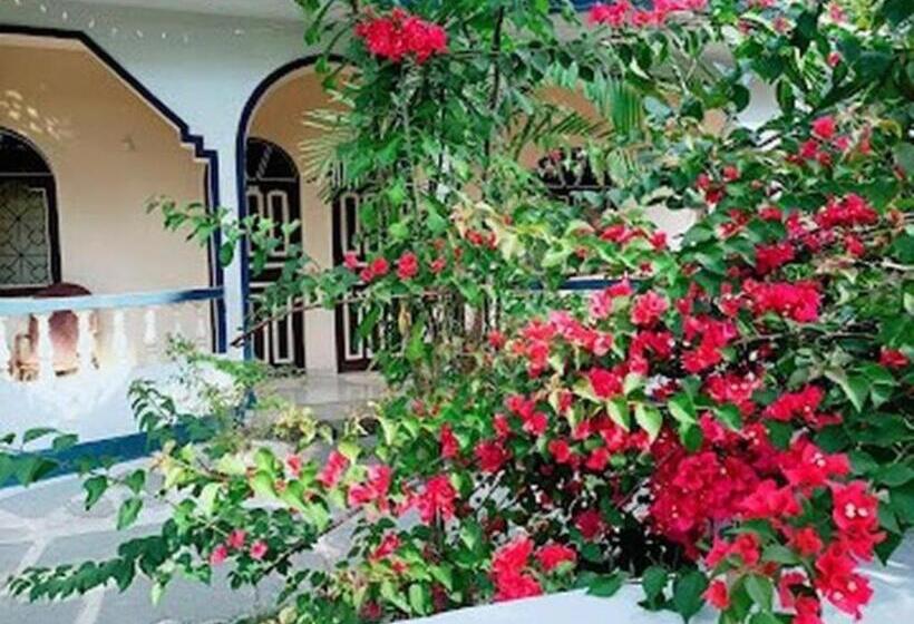 Pensjonat Casa Domingos Guest House