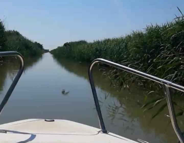 פנסיון Casa Rasaritul Soarelui Sarichioi