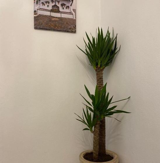 膳宿费 Suites Benalup Centro