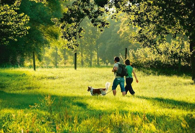 Отель Alter Weißbräu