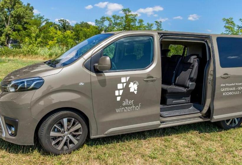 ホテル Alter Winzerhof Weisenheim Am Berg E.k